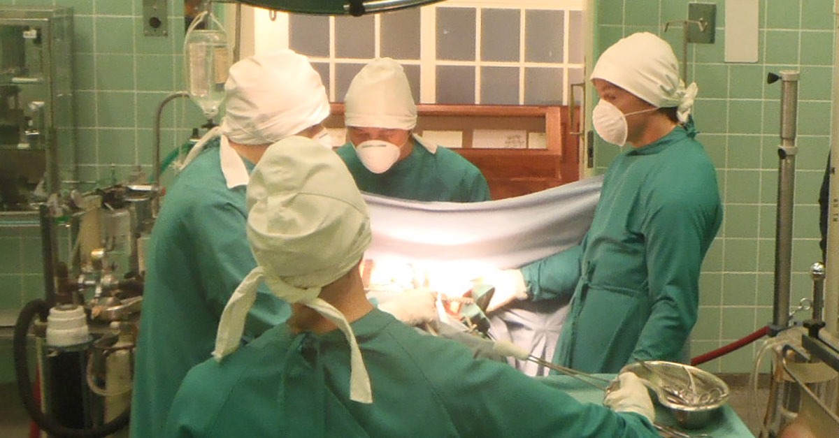 organ donation and transplantation essay organ donation and transplantation essay