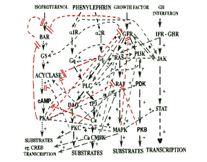 “Horror graph”