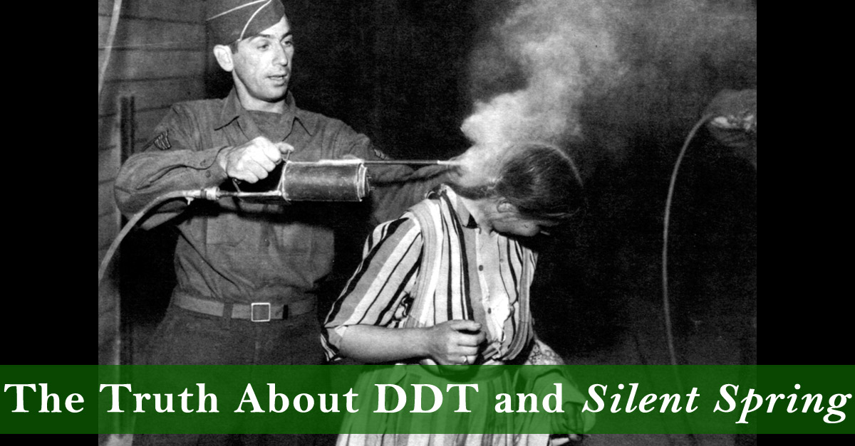 The Truth About DDT and Silent Spring - The New Atlantis