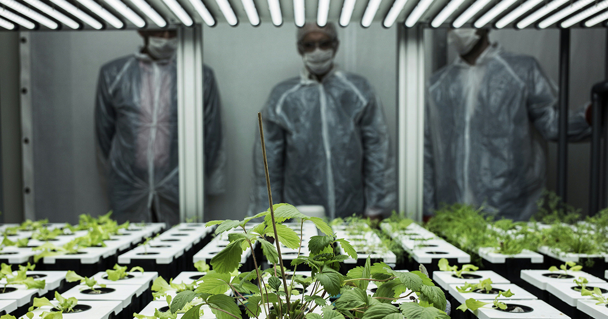 The GMO debate won't be settled technocratically