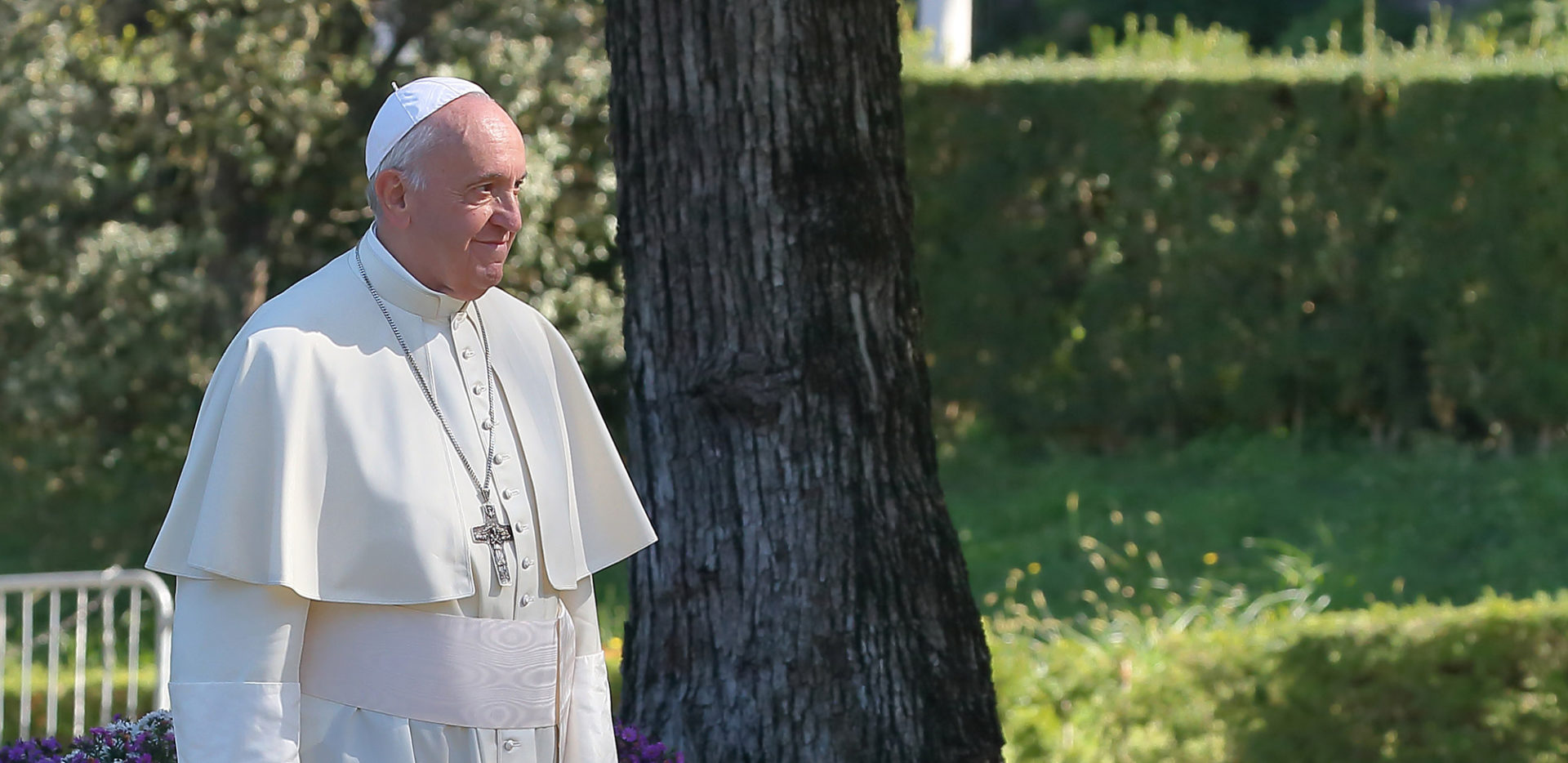 Pope Francis on the Environment