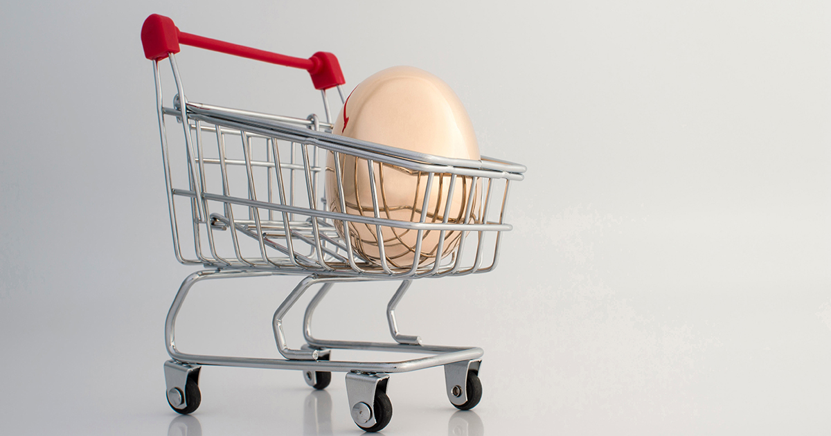 Golden Eggs IVF parents shop for good stock at the Ivy Leagues