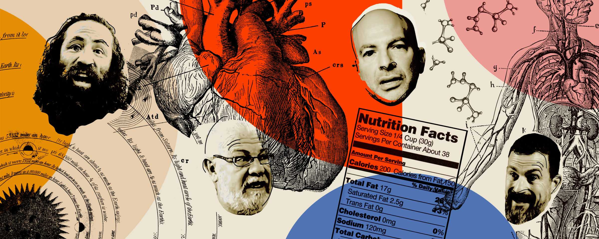 Can You Solve a Lifestyle Epidemic Without Lifestyle Gurus? — The New  Atlantis